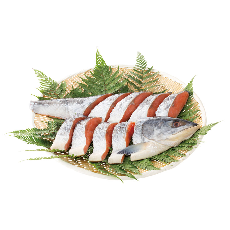 画像無し